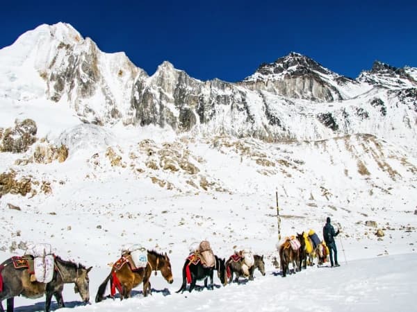 Manaslu Circuit Trek-A Memorable Journey through Nepal’s Hidden Treasure.