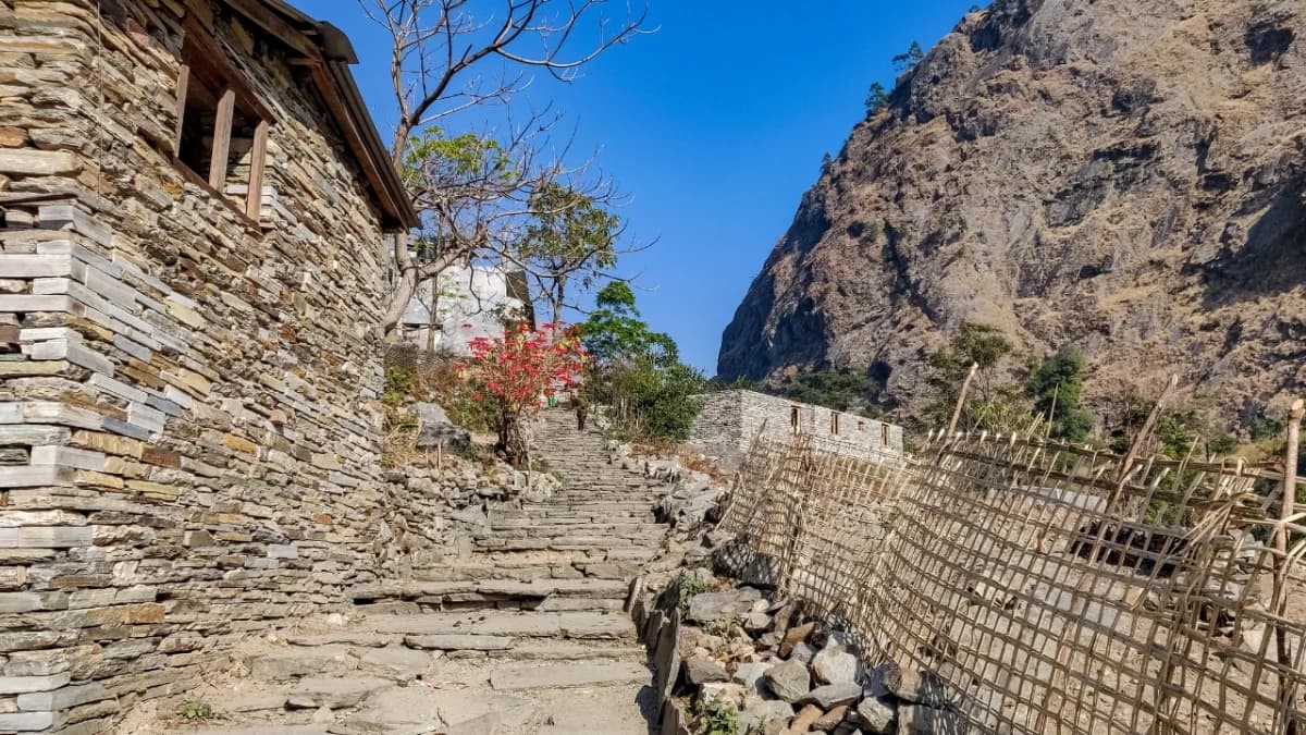 Manaslu Conservation Area: Culture, Trekking, and Wildlife