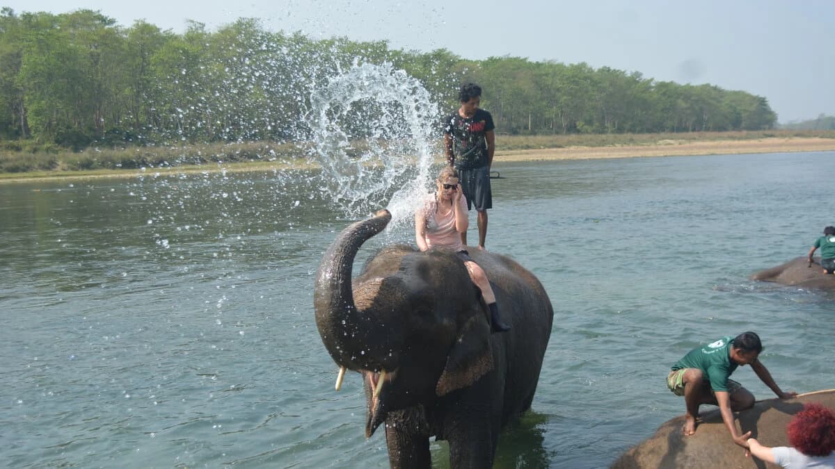 Chitwan National Park Safari