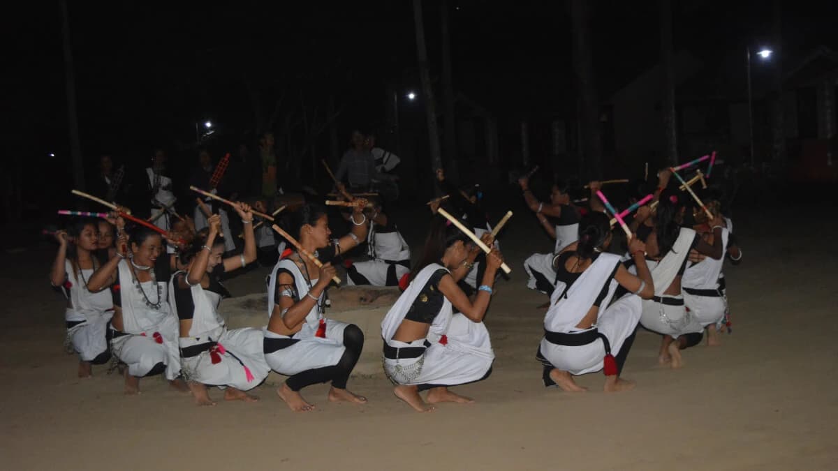 Chitwan Tharu Cultural Programme