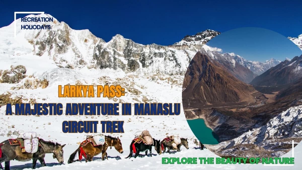 Larkya Pass: A Majestic Adventure in Manaslu Circuit Trek