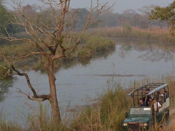 Chitwan Jungle Safari Tour