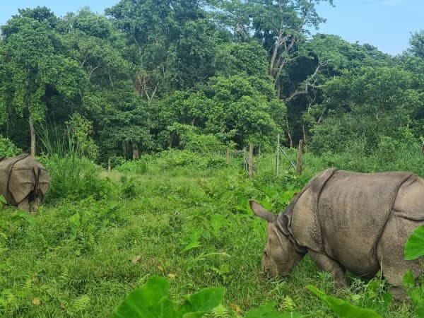 Kathmandu Tour Chitwan Safari