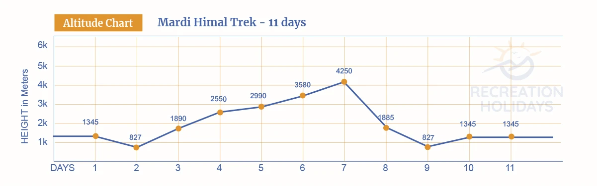 mardi-chart.webp