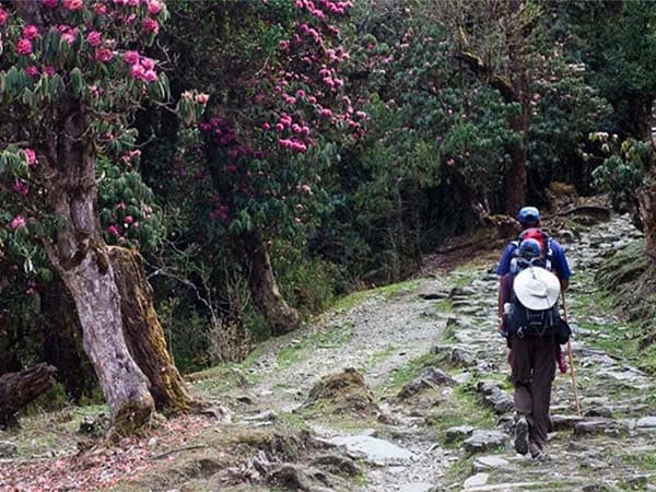 How to Get Rid of Leeches While Trekking