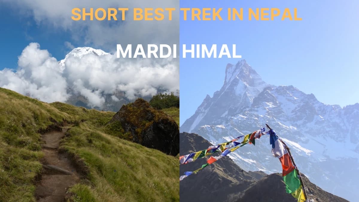 Mardi Himal - Short & Best Trek in Nepal
