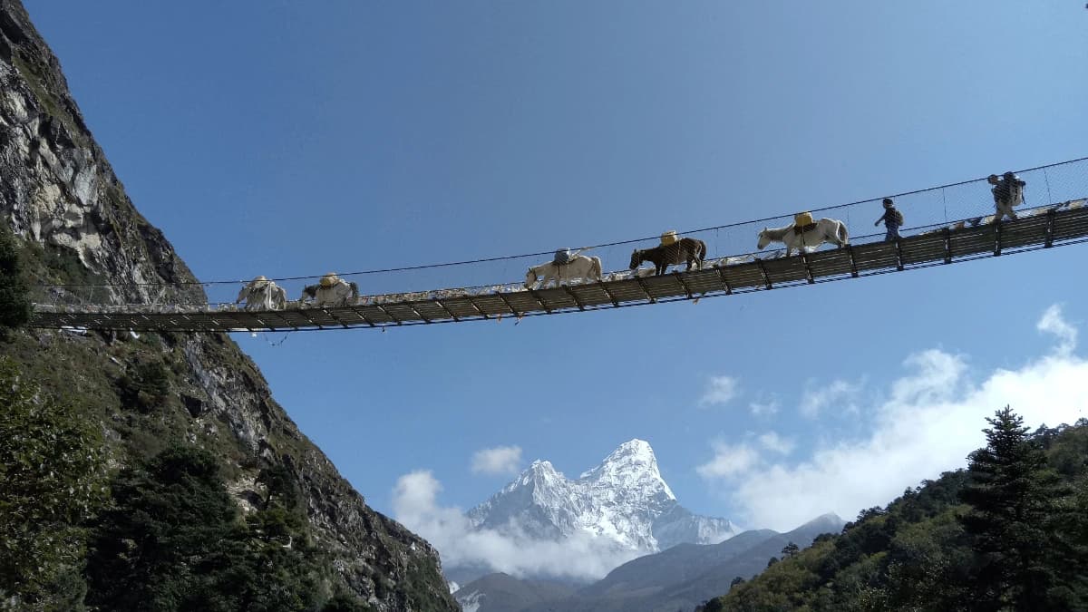 Everest High Passes Trek