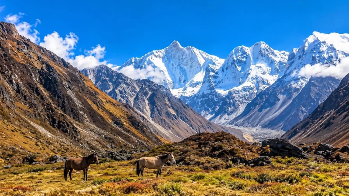 Kanchenjunga North Base Camp Trek 3