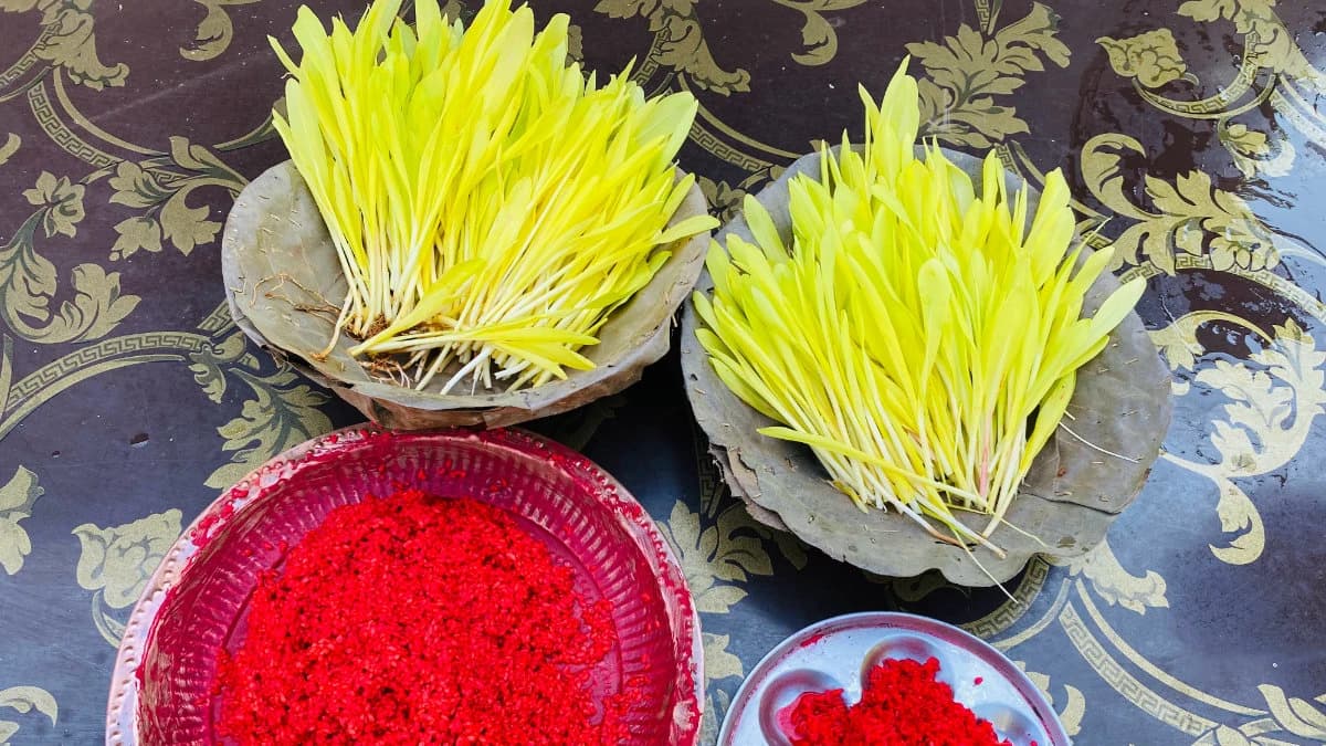 Traditional Dashain offerings of tika and jamara