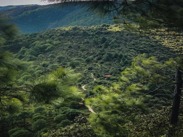 Champadevi Day Hike