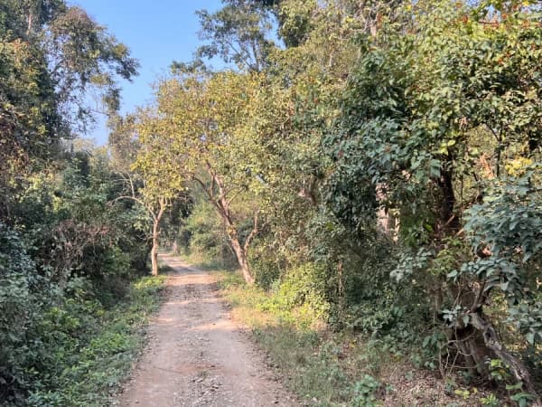 Bardia National Park Safari Tour