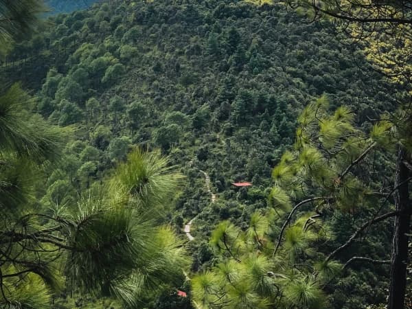 Champadevi Hiking Trails