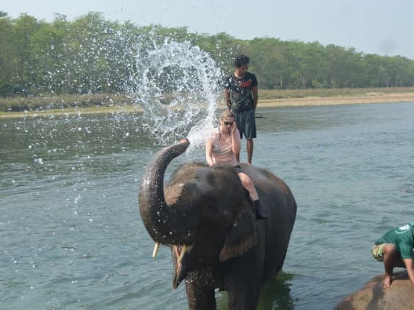 Chitwan National Park Safari