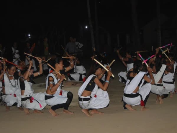 Chitwan Tharu Cultural Programme