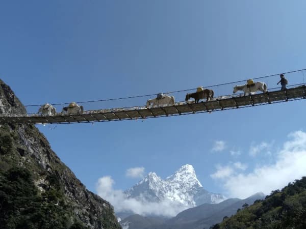 Everest Three Passes Trek Bridge