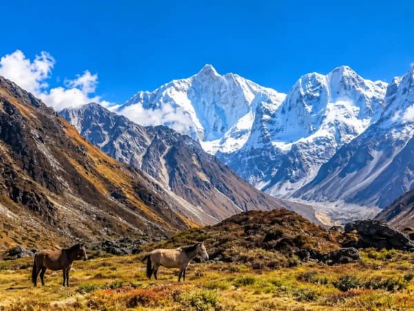 Kanchenjunga North Base Camp Trek 2