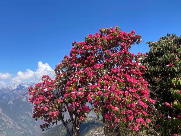Khopra Danda Image 2