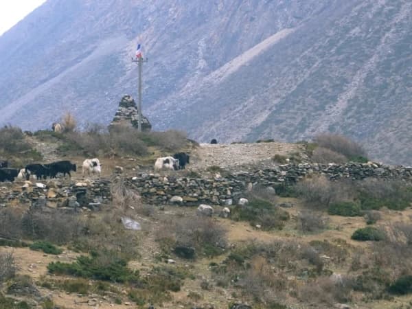 Tsum Valley Trekking Photo 1